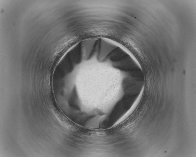 X0000088890398200706291445