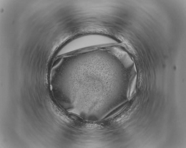 X0000088890399200706291445