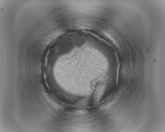 X0000088890402200706291445