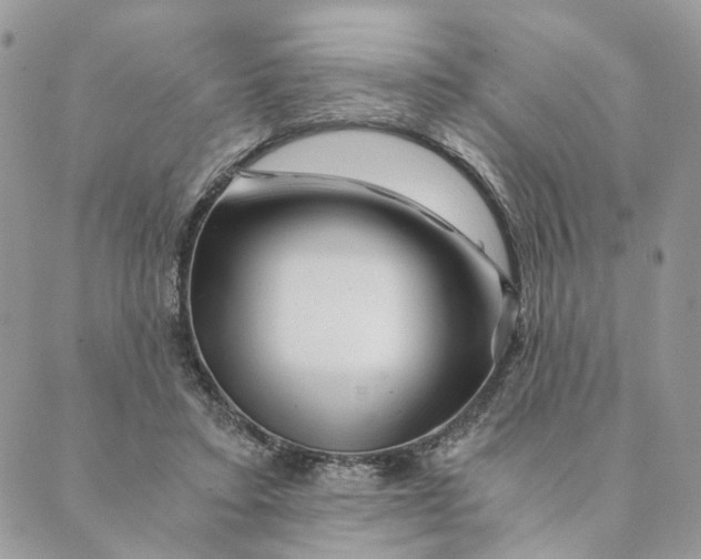 X0000088890403200706291445