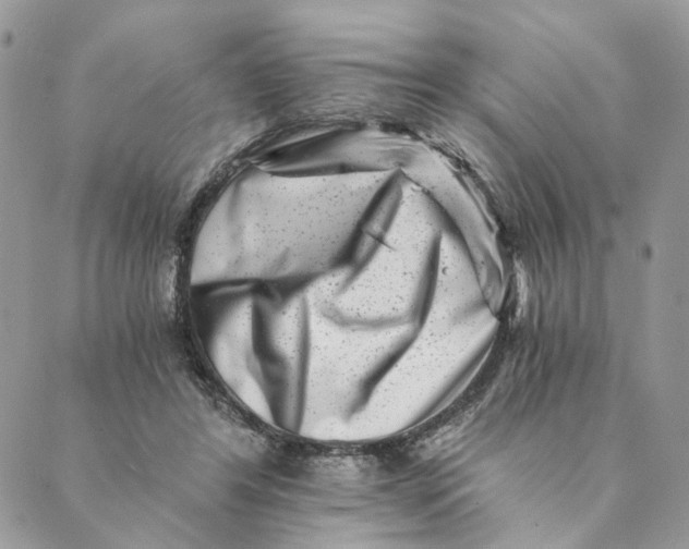 X0000088890404200706291445