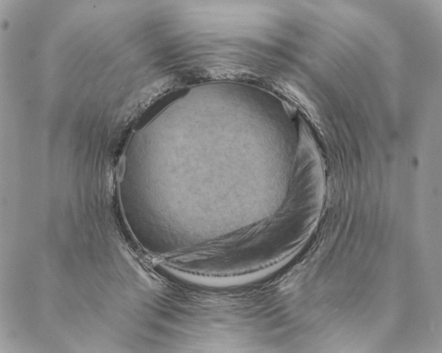 X0000088890405200706291445