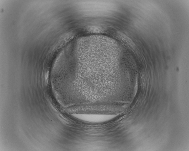 X0000088890406200706291445