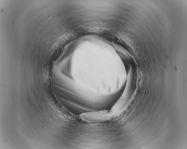 X0000088890407200706291445