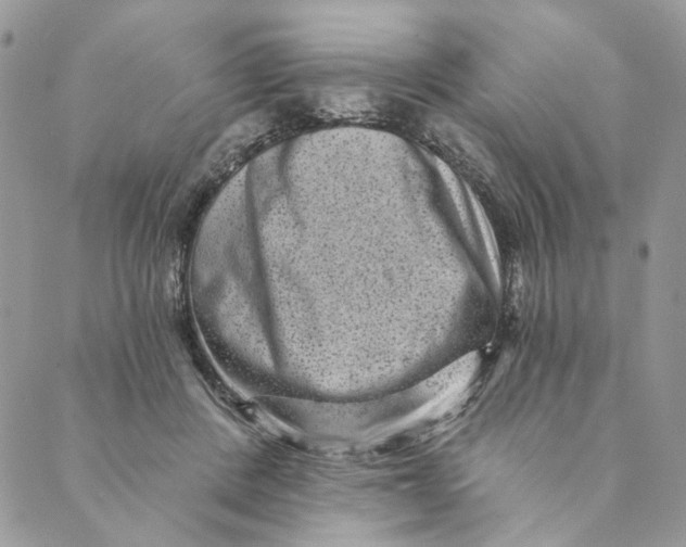 X0000088890408200706291445