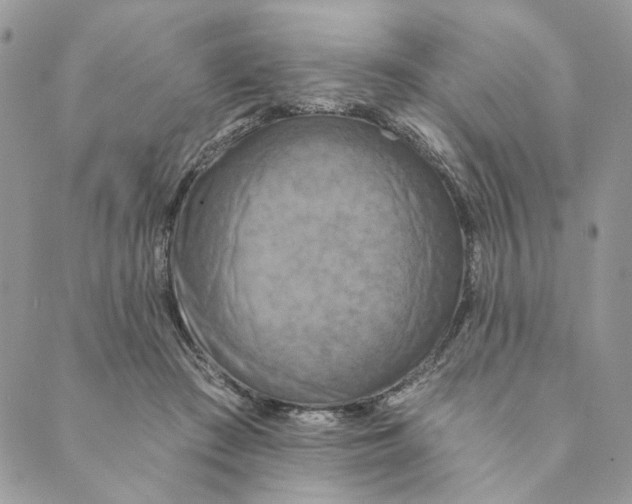 X0000088890409200706291445