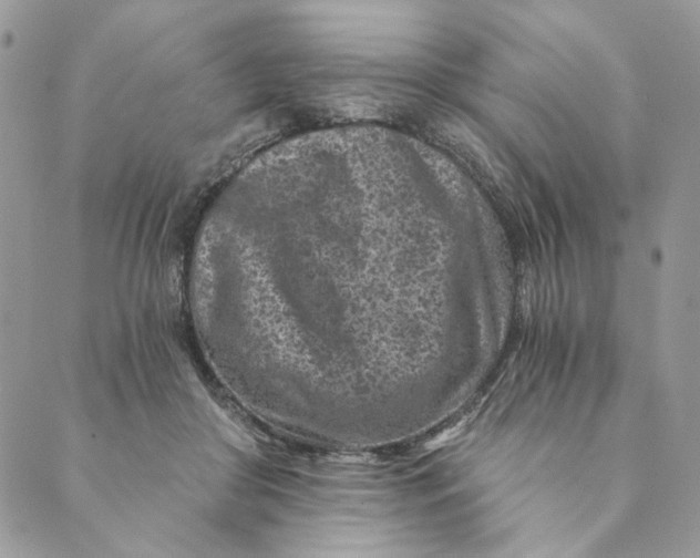 X0000088890410200706291445