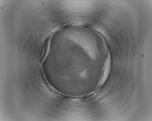 X0000088890411200706291445