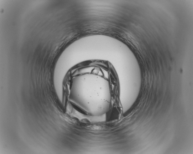 X0000088890412200706291445