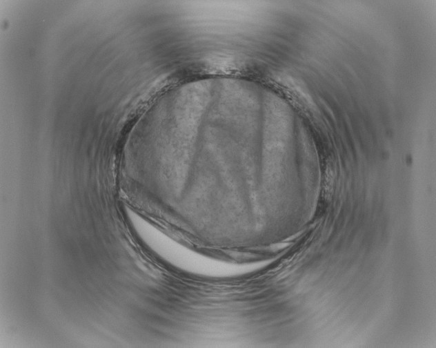 X0000088890413200706291445