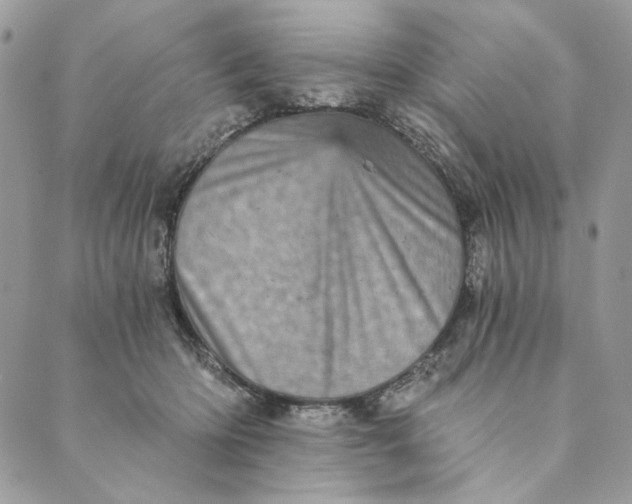 X0000088890414200706291445