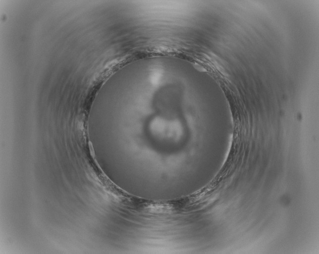 X0000088890415200706291444