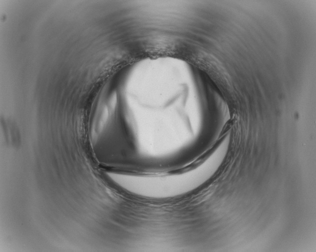 X0000088890416200706291444