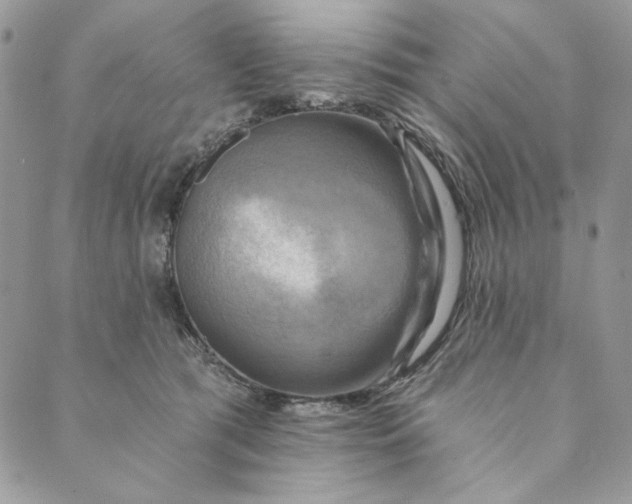 X0000088890417200706291444