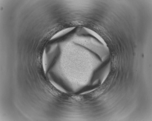 X0000088890418200706291444