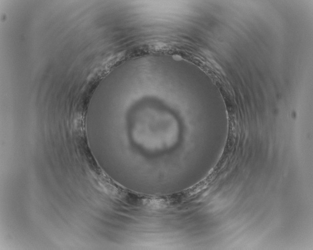 X0000088890419200706291444