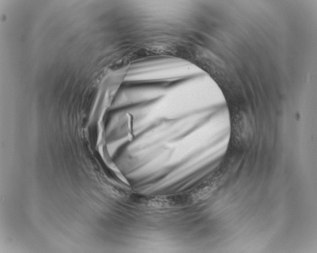 X0000088890420200706291444