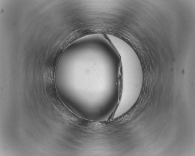 X0000088890421200706291444