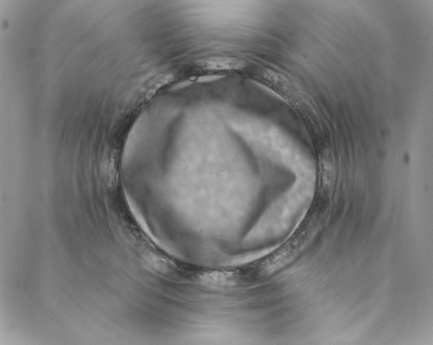 X0000088890422200706291444