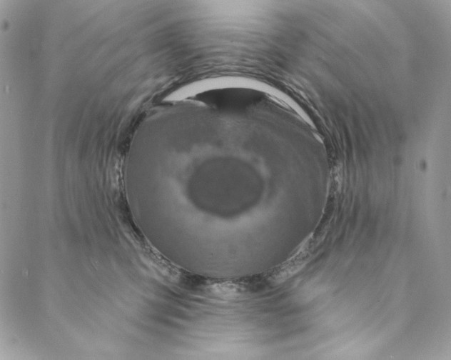 X0000088890423200706291444