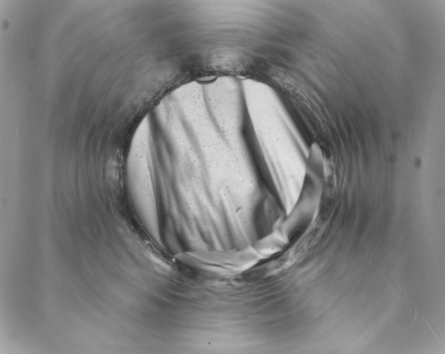 X0000088890424200706291444