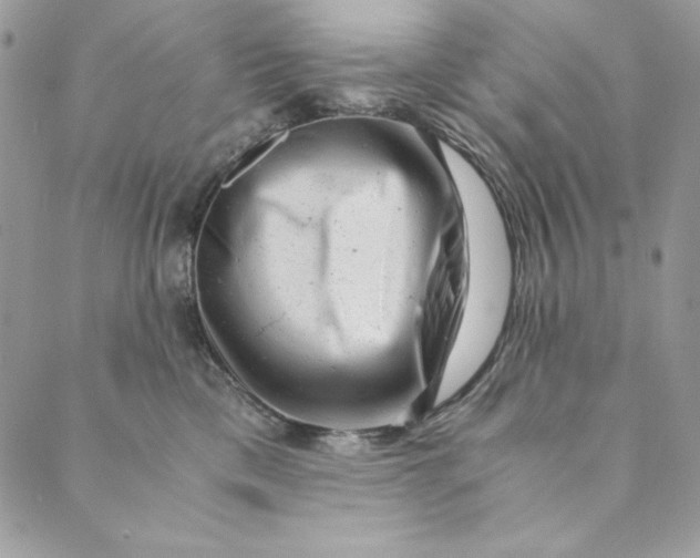 X0000088890425200706291444