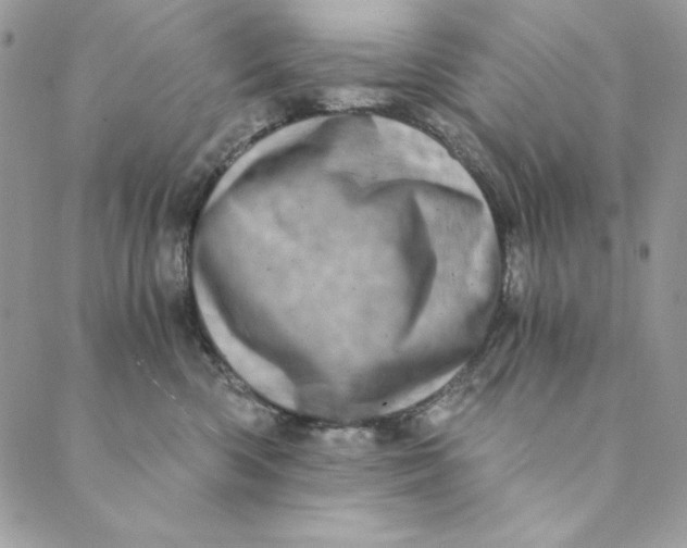 X0000088890426200706291444