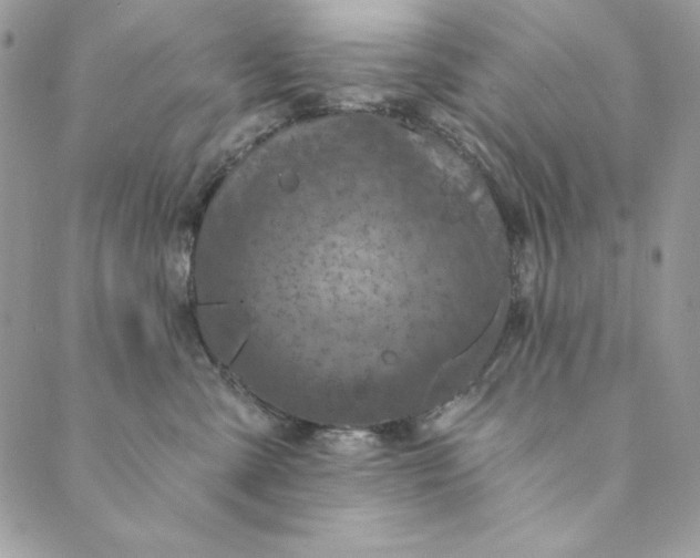 X0000088890427200706291444