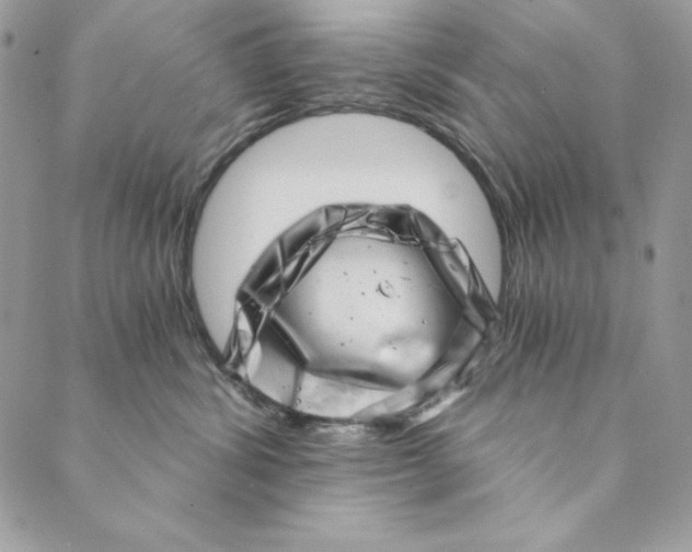 X0000088890428200706291444