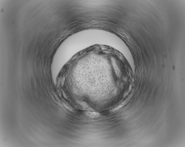 X0000088890429200706291444