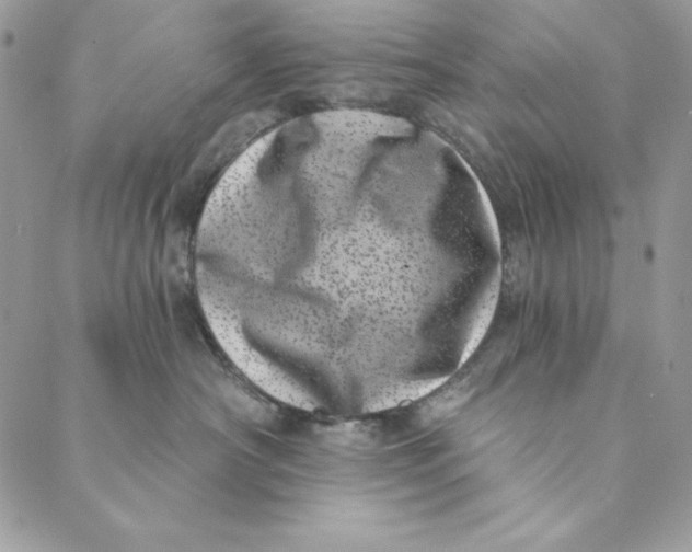 X0000088890430200706291444