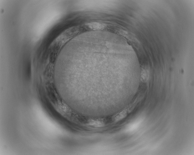 X0000088890431200706291444