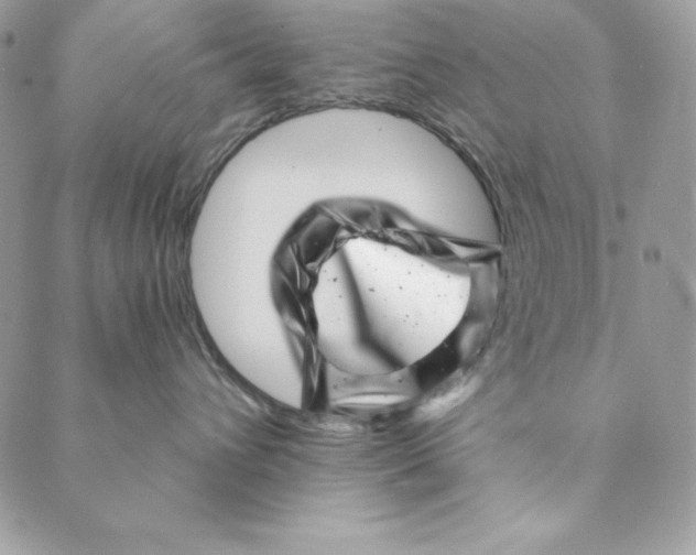 X0000088890432200706291444