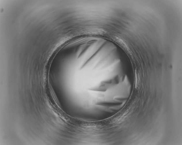 X0000088890435200706291443