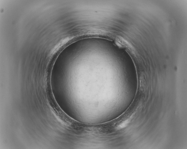 X0000088890436200706291443