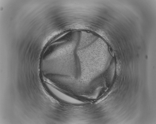 X0000088890438200706291444