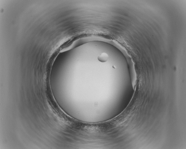 X0000088890440200706291444