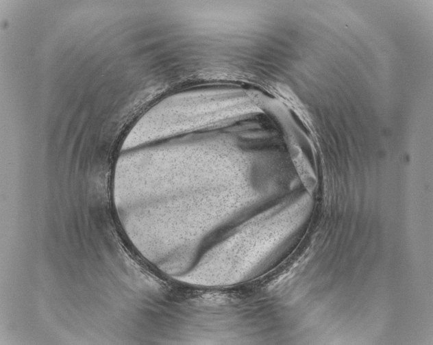 X0000088890441200706291444