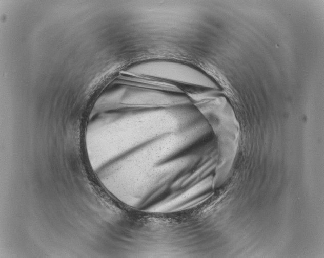 X0000088890442200706291444