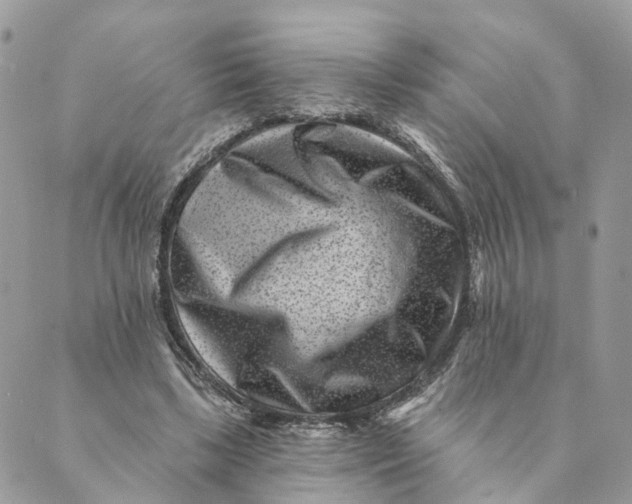 X0000088890443200706291444