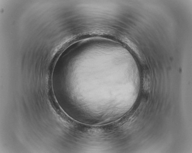 X0000088890444200706291444