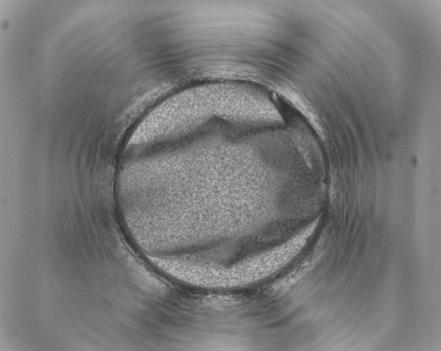 X0000088890445200706291444