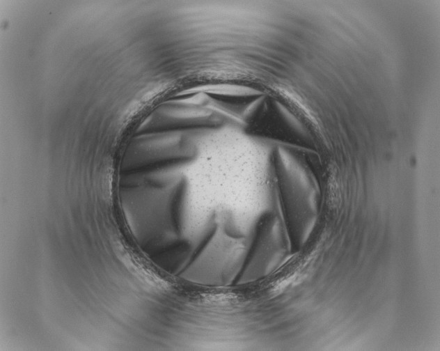 X0000088890446200706291444