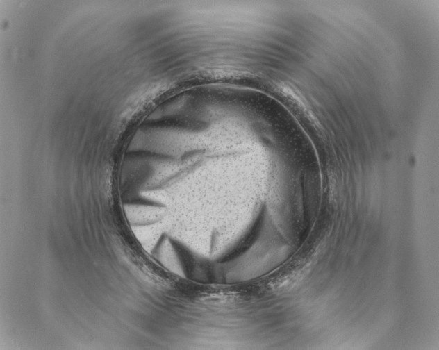 X0000088890447200706291444