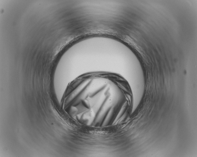 X0000088890448200706291444