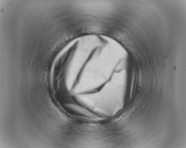 X0000088890449200706291444