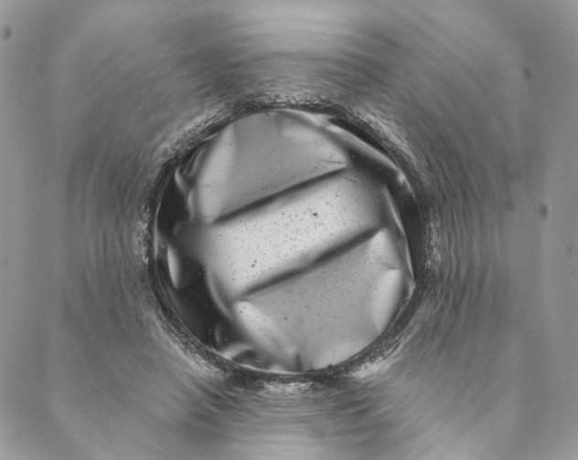 X0000088890450200706291444