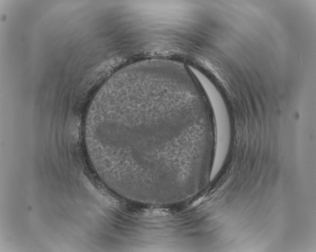 X0000088890451200706291444