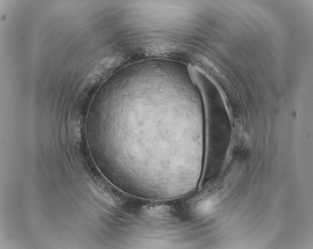 X0000088890452200706291444