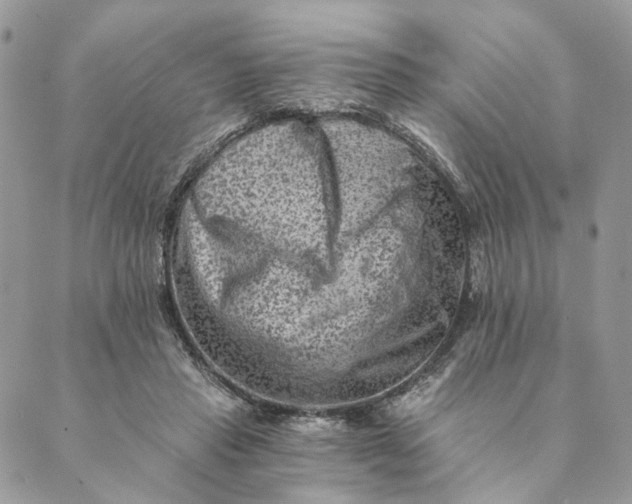 X0000088890453200706291444